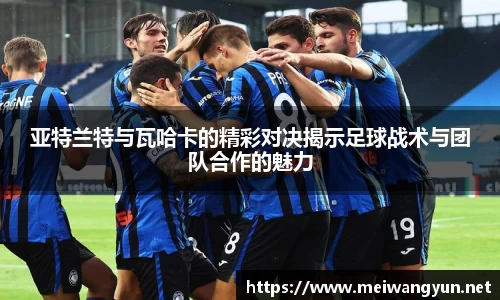 博鱼.体育官网