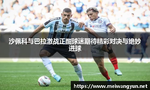 博鱼官网