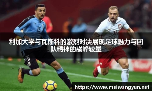 博鱼.体育官网