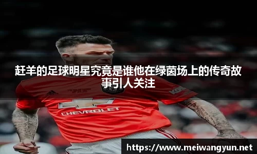 赶羊的足球明星究竟是谁他在绿茵场上的传奇故事引人关注
